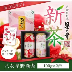 新茶 2026 母の日ギフト 知覧茶 御礼 内祝 2025 日本茶 煎茶 贈答品