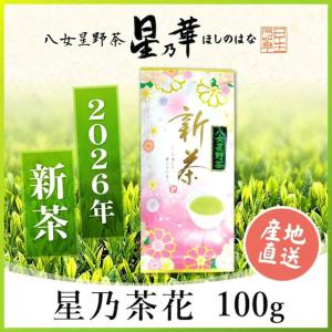 星乃華 お茶 緑茶 水出し緑茶 八女茶 星野茶 ティーバッグ 星野煎茶