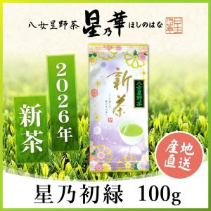 星乃華 お茶 緑茶 水出し緑茶 八女茶 星野茶 ティーバッグ 星野煎茶