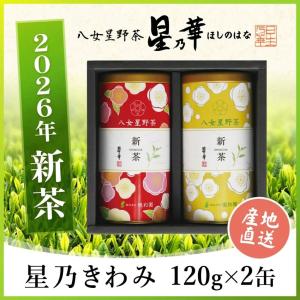 星乃華 ギフト 送料無料 八女星野茶 特上煎茶100g×2本入り ほしのはな