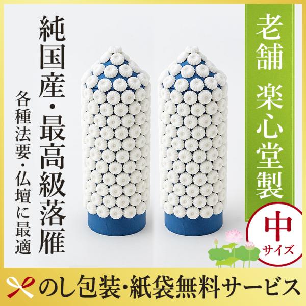 楽心堂本舗　落雁　らくがん　中サイズ　お供え　初盆　仏壇　贈答　のし 包装　白菊　アウトレット品