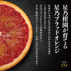 星乃ブラッドオレンジ【木成り完熟 /訳あり】 4kgの詳細画像4