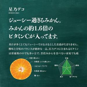 星乃デコ【木成り完熟デコポン/不知火】 3.5kgの詳細画像1