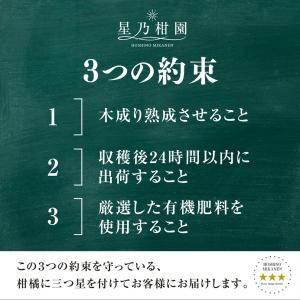 星乃デコ【木成り完熟デコポン/不知火】 3.5kgの詳細画像2