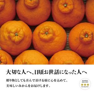 星乃デコ【木成り完熟デコポン/不知火】 3.5kgの詳細画像5