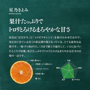 星乃きよみ【木成り完熟みかん/訳あり】 5kgの詳細画像1