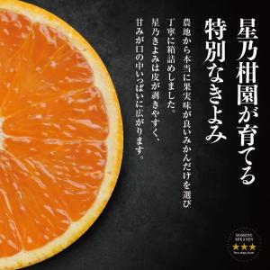 星乃きよみ【木成り完熟みかん/訳あり】 5kgの詳細画像4