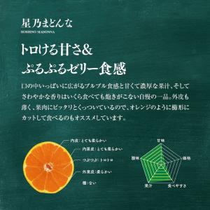 【早期割20%OFF】星乃まどんな【木成り熟成...の詳細画像1