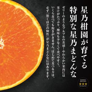 【早期割20%OFF】星乃まどんな【木成り熟成...の詳細画像4