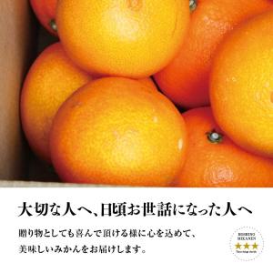 【早期割20%OFF】星乃まどんな【木成り熟成...の詳細画像5
