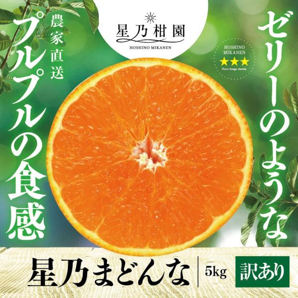 【早割10%SALE】星乃まどんな【木成り熟成/サイズ混合/訳あり】 5kg