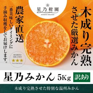 クリスマス特別セール】星乃まどんな【木成り熟成/サイズ混合/訳あり