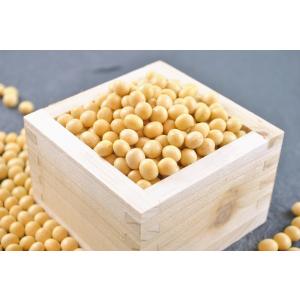 秋田県産の契約栽培大豆 黄大豆 リュウホウ 500g Ryuuhou 味噌星六 通販 Yahoo ショッピング