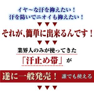 在庫あり 汗止め帯 ノーマルタイプ Lサイズ ...の詳細画像1