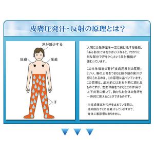 在庫あり 汗止め帯 ノーマルタイプ Lサイズ ...の詳細画像5