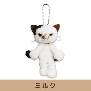 スクラッチ ぬいぐるみ MS ねこ 猫 内藤デザイン研究所 : 匠ーTAKUMIー