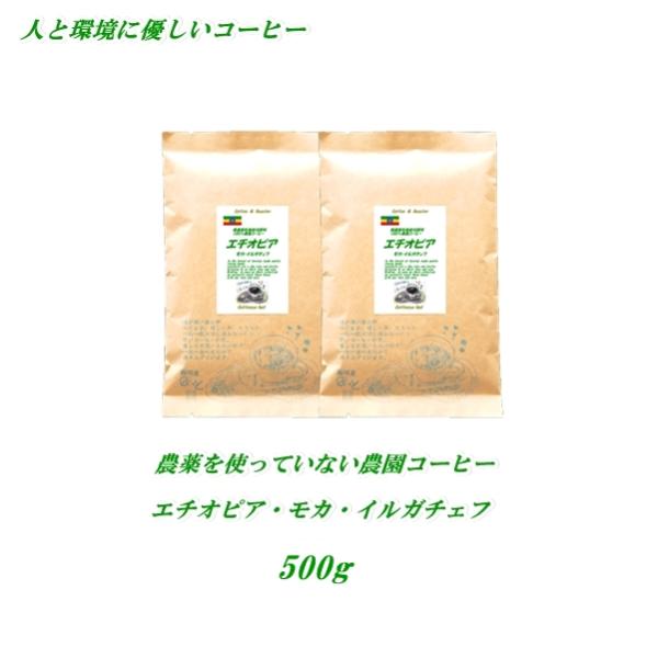 農薬を使っていない農園コーヒー エチオピア モカイルガチェフ 500g 送料無料