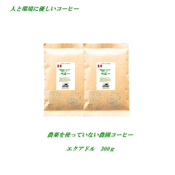 農薬を使っていない農園 コーヒーエクアドル・アンデスマウンテン300g 送料無料
