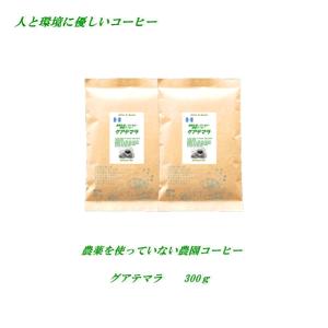 農薬を使っていない農園 コーヒー グアテマラ  300ｇメール便 送料無料