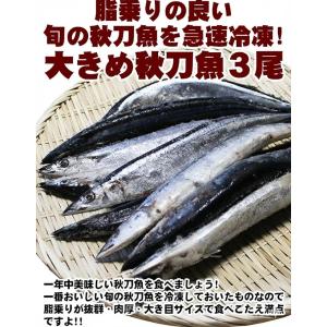 加熱用 冷凍さんま3尾 秋刀魚 サンマ 便利 ...の詳細画像1