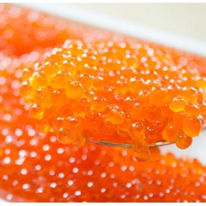 送料無料 北海道産冷凍貝柱・いくら醤油漬けのセ...の詳細画像1
