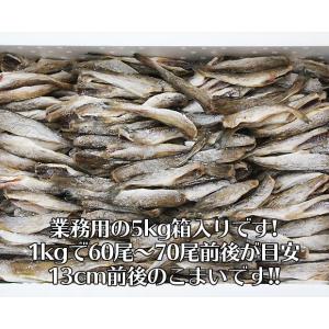北海道産 業務用 こまい 5kg Lサイズ 氷...の詳細画像1