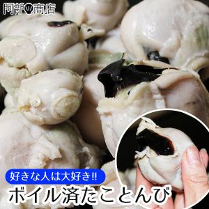 たことんび 1kg前後  タコトンビ  蛸 トンビ 蛸とんび