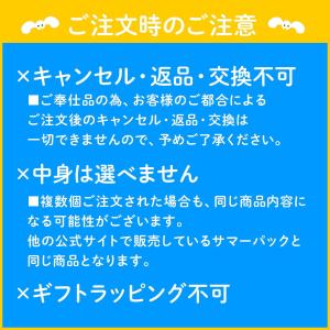 ミキハウス 【数量限定】ベビーサマーパック (...の詳細画像1