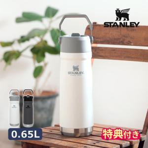 スタンレー STANLEY 水筒 アイスフローフリップストロー 真空ウォーターボトル 0.65L 特典付 09992 おしゃれ 650ml 保冷専用 ストロー ステンレス ハンドル｜hotchpotch