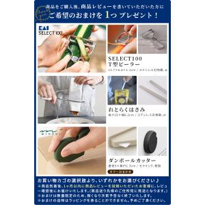 ホームベーカリー 1斤 レコルト recolt...の詳細画像1