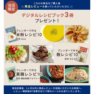 ハンドブレンダー 離乳食 レコルト recol...の詳細画像2
