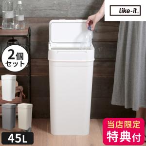 Like-it（ライクイット） ゴミ箱 分別 シールズ 45 密閉ダストボックス