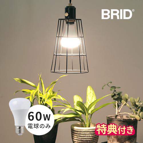 LED電球 60W相当  BRID プランツライト 60 PLANTS LIGHT60 WARM C...
