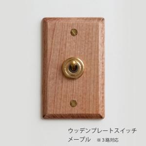 爆買 真鍮プレート 2スイッチ アメリカン US スイッチ アメリカン