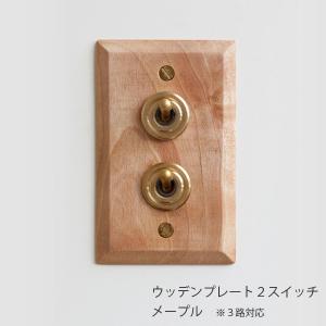 真鍮プレート 2スイッチ アメリカン US スイッチ アメリカンスイッチ