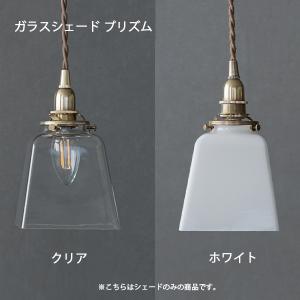 ガラスシェード ポリゴン クリア 照明,灯具,天井電源,ガラス
