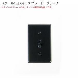 真鍮プレート 2スイッチ アメリカン US スイッチ アメリカンスイッチ
