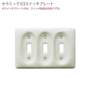 陶器スイッチダブルキット アメリカン US スイッチ アメリカンスイッチ