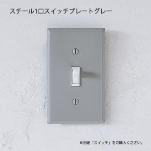 陶器スイッチダブルキット アメリカン US スイッチ アメリカンスイッチ