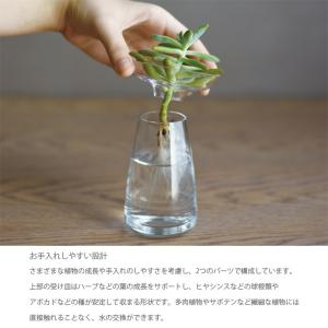AQUA CULTURE VASE L 花瓶 ...の詳細画像1