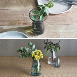 AQUA CULTURE VASE L 花瓶 ...の詳細画像5