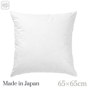 ヌードクッション ユーロ 正方形 65×65cm...の商品画像