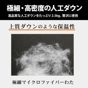 ホテルキャンプス|HOTEL CAMPS ホッ...の詳細画像3