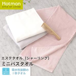 Hotman 1秒タオル ホットマンカラーシリーズ バスマットセット DBL PU
