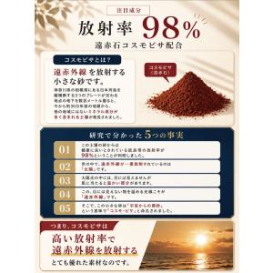 遠赤足裏シート ビサミン 足裏シート 遠赤外線...の詳細画像5