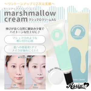AFFINIQUE カネボウ アフィニーク CH エッセンスサマー