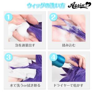 アシストウィッグ【ポイントリセッター】アシスト...の詳細画像1