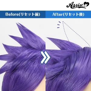 アシストウィッグ【ポイントリセッター】アシスト...の詳細画像2
