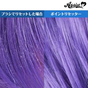 アシストウィッグ【ポイントリセッター】アシスト...の詳細画像3