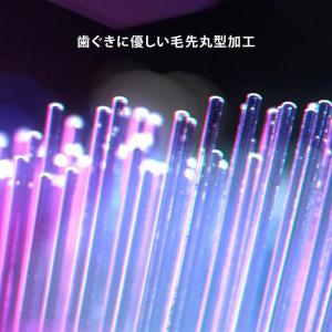 ブラウン【国内正規品】【替えブラシ 3本: I...の詳細画像5